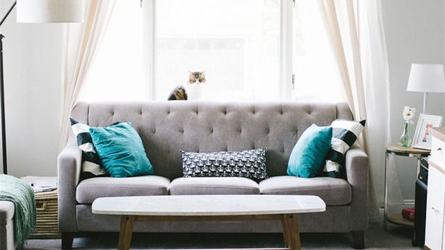 FurniWorld classic grey sofa with teal pillows in bright living room